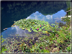 foto Lago di Levico